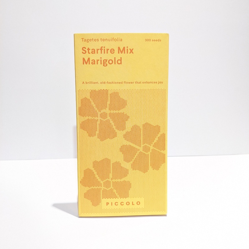 Starfire Mix Marigold