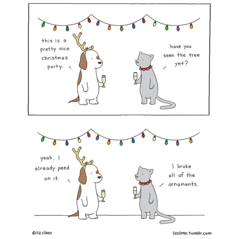 Christmas Party Cat and Dog