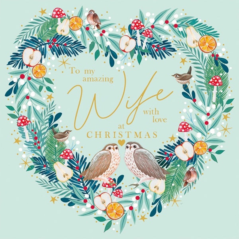 To My Amazing Wife Owl Christmas Card