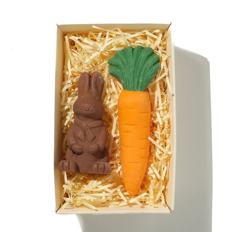 Chocolate Bunny and Carrot