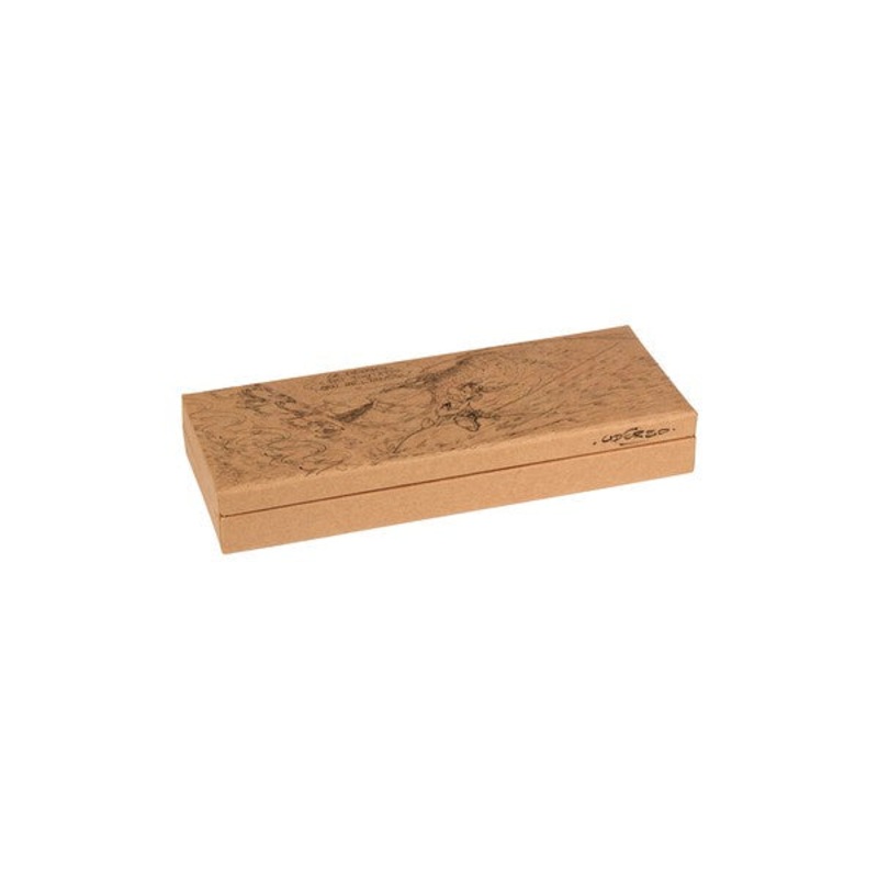Asterix Pencil Box