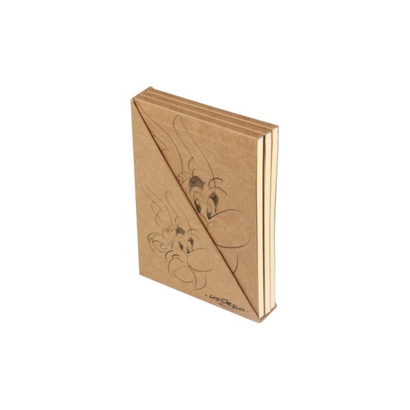 Asterix Mini Kraft Notebook Set