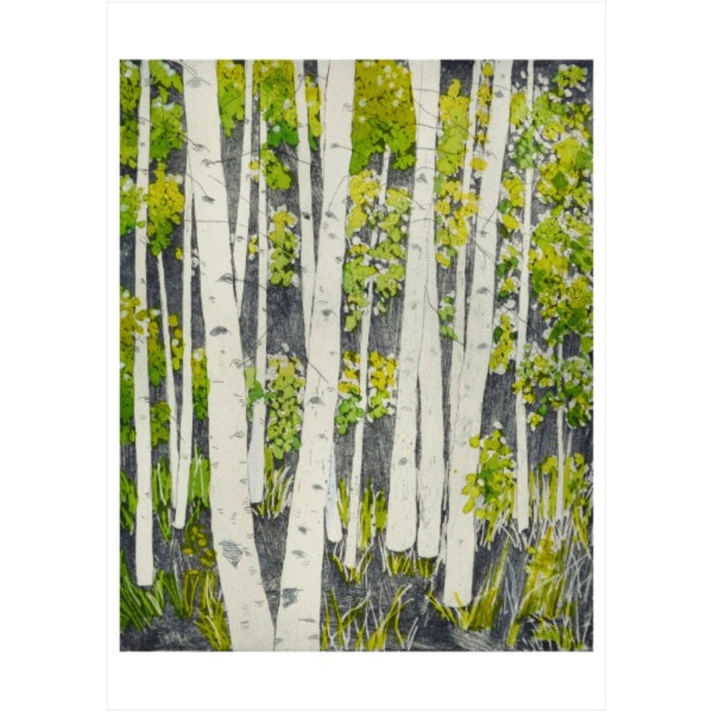 Aspen, Springtime - Molly Hashimoto Card
