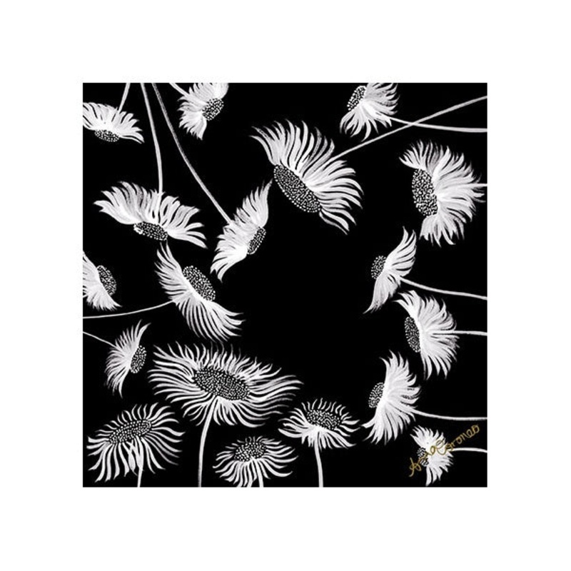 Kythera Daisies Card