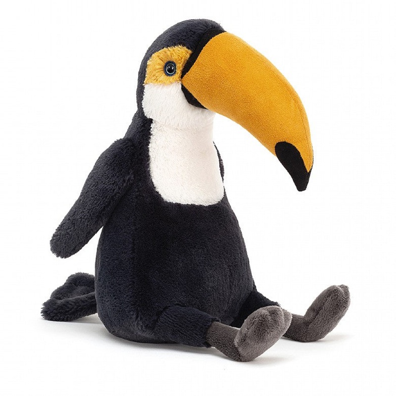 Medium Bashful Toucan