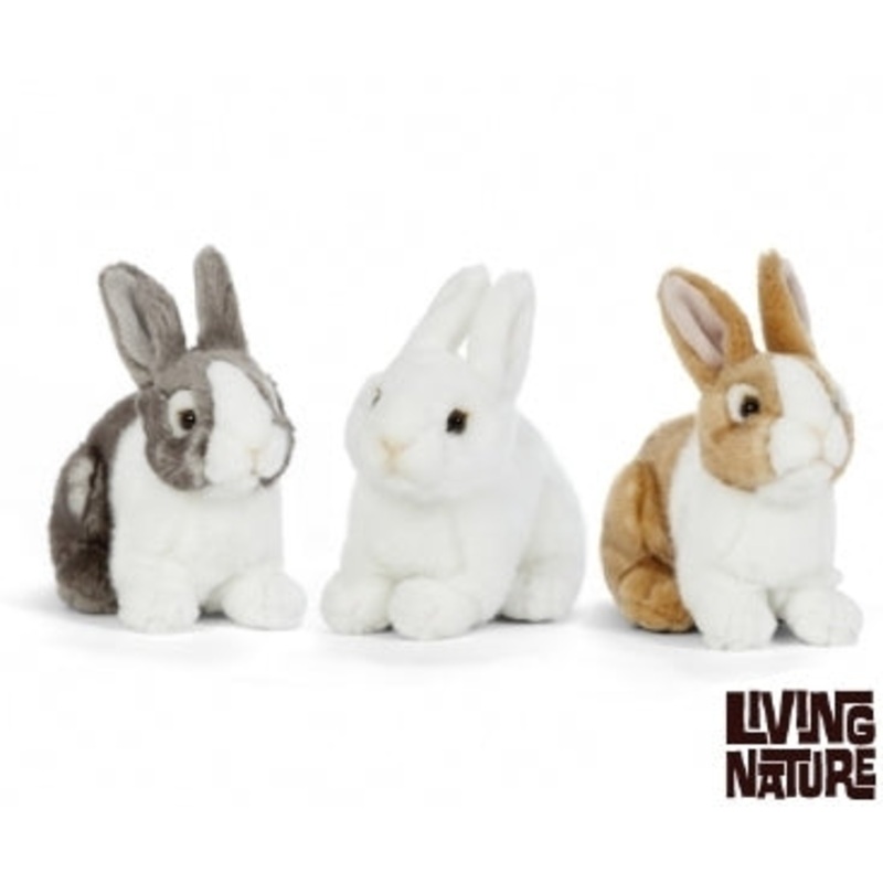 Pet Rabbits Assorted Small