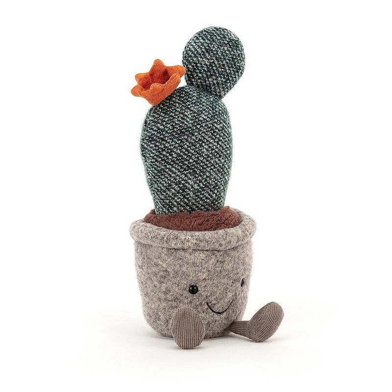 Prickly Pear Cactus