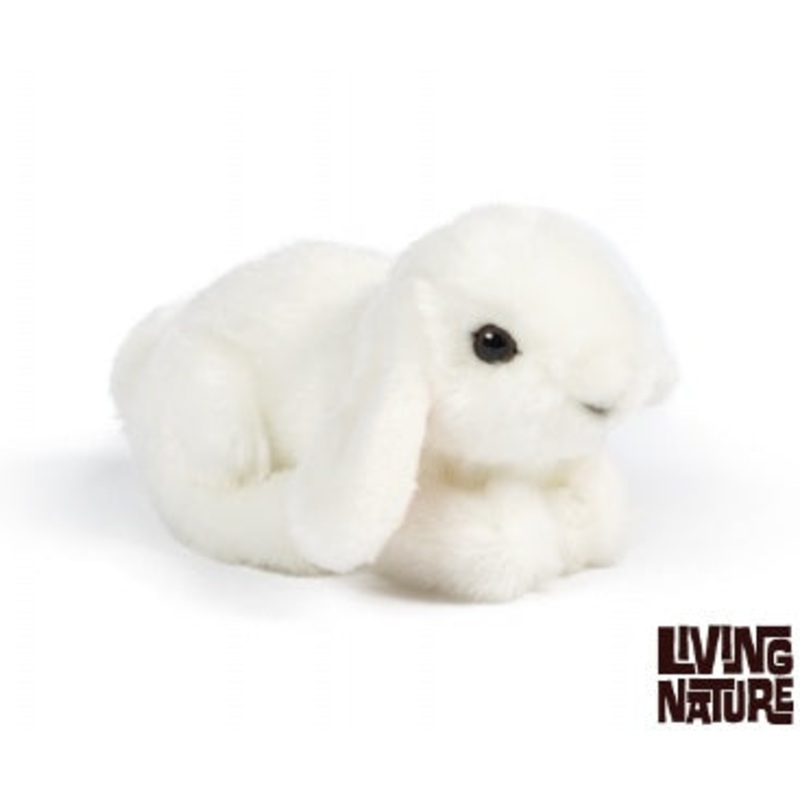 Small Lop Eared Bunny Soft Toy
