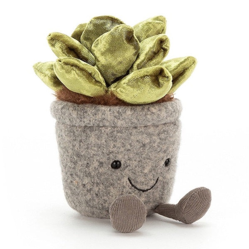 Silly Succulent Jade