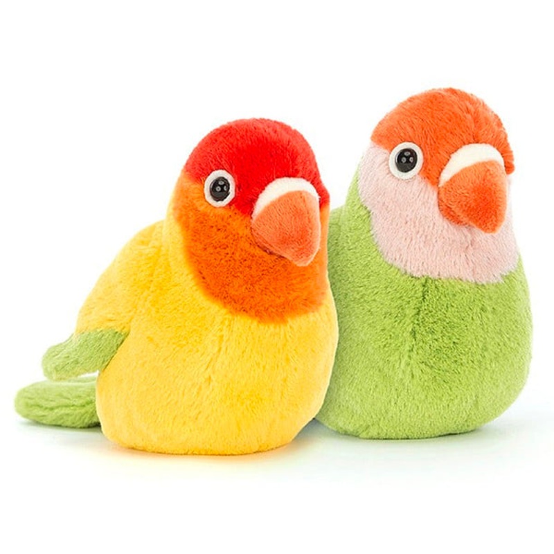 A Pair of Lovely Lovebirds