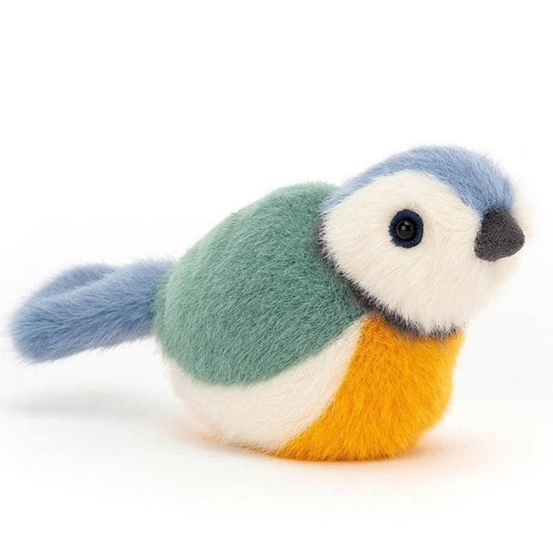 Birdling Blue Tit