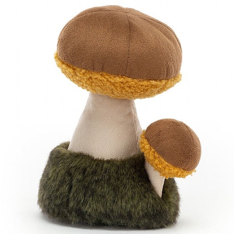 Wild Nature Boletus Mushroom