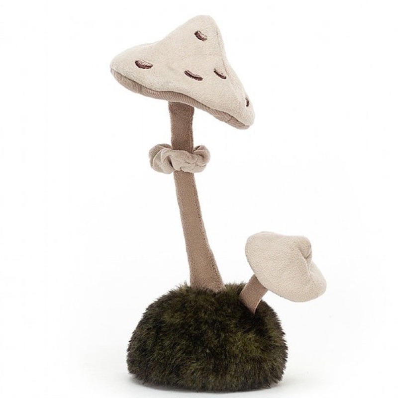 Wild Nature Parasol Mushroom