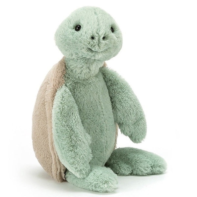 Small Bashful Turtle