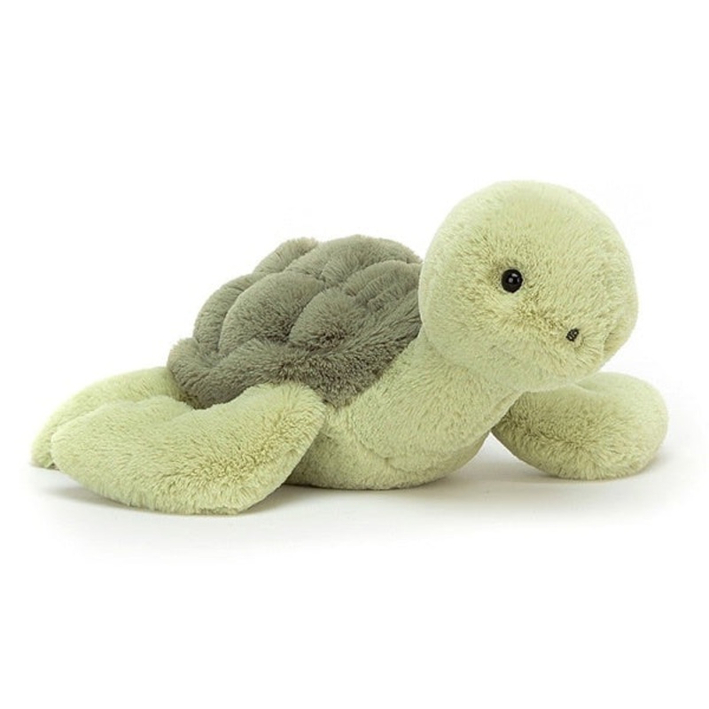 Tully Turtle