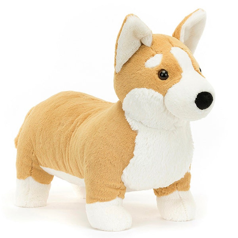 Betty Corgi Big