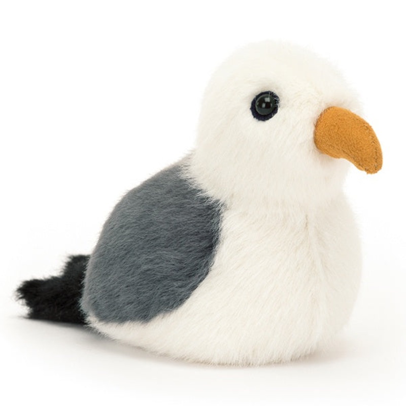 Birdling Seagull