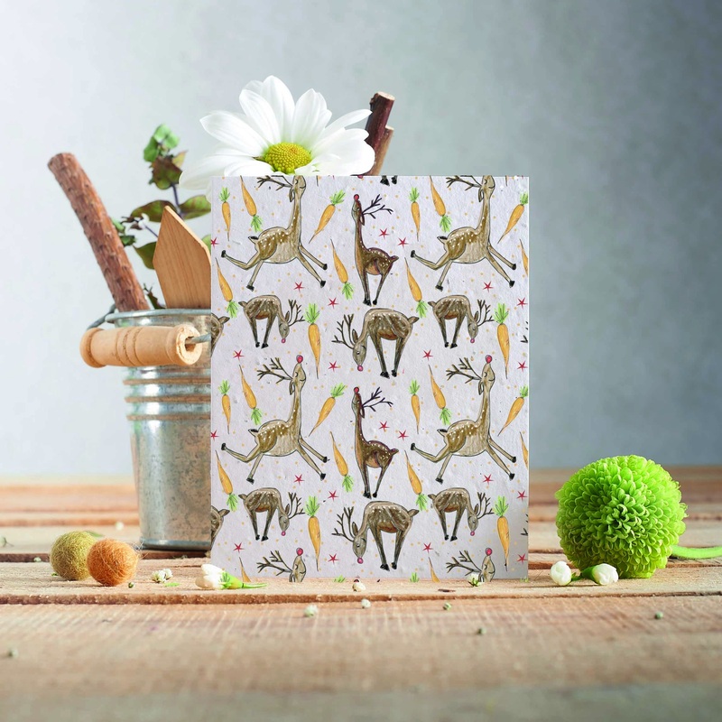 Rudolph Pattern Seed Card