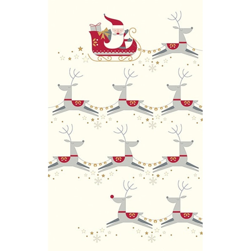 Reindeer & Sleigh Christmas Card