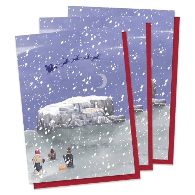 Wild Swimmers and Bass Rock Christmas Card Pack