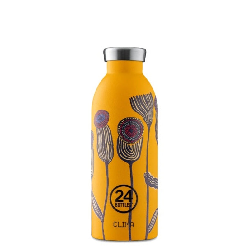 Arizona Clima 500ml Bottle
