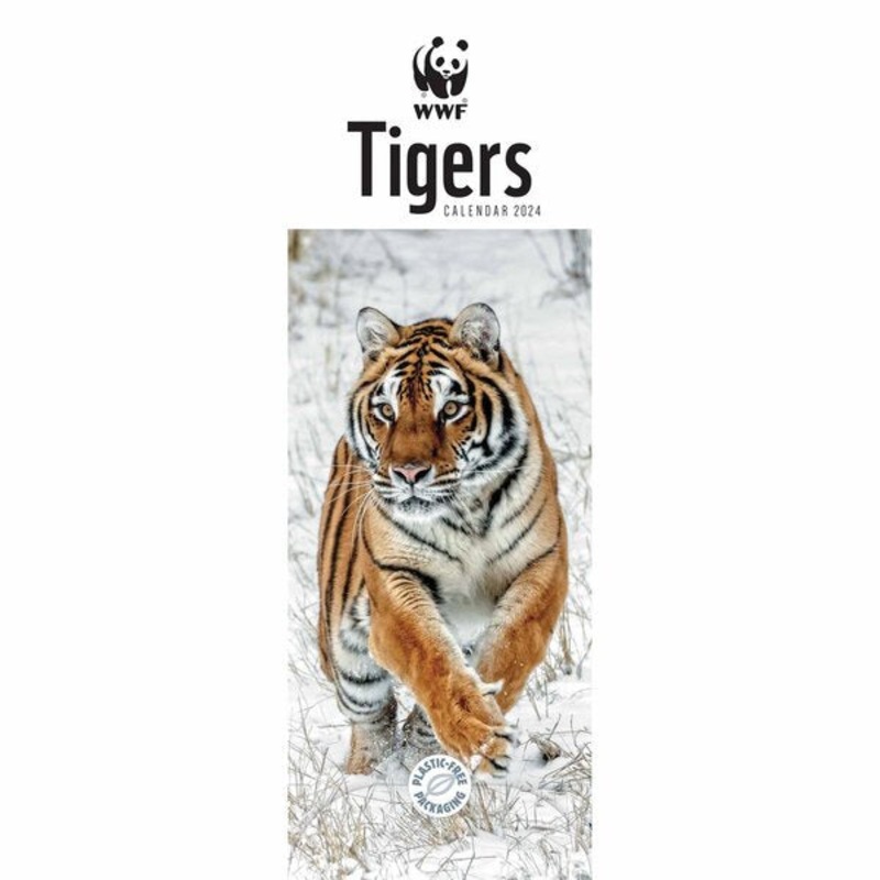 WWF Tigers Slim Calendar 2024