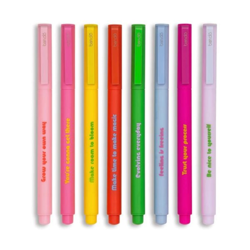 Write On Felt Tip Assorted Pen Set