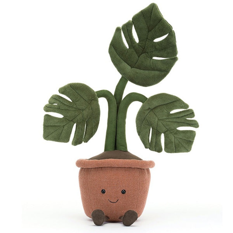 Amuseables Monstera Plant
