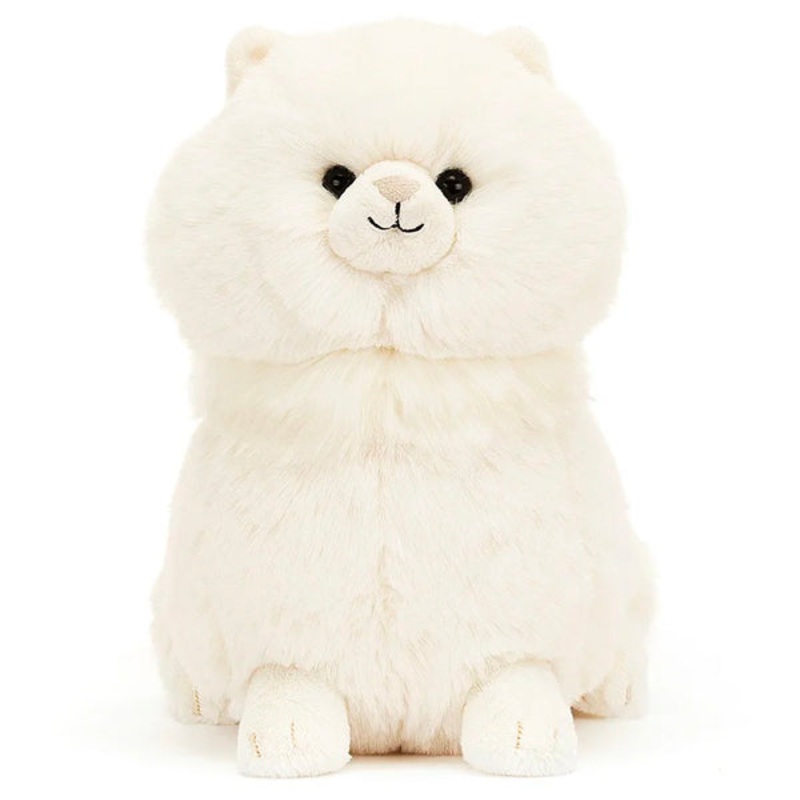 Carissa Persian Cat