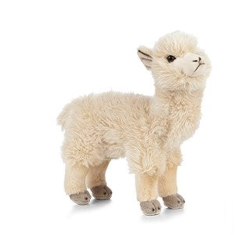 Alpaca Small