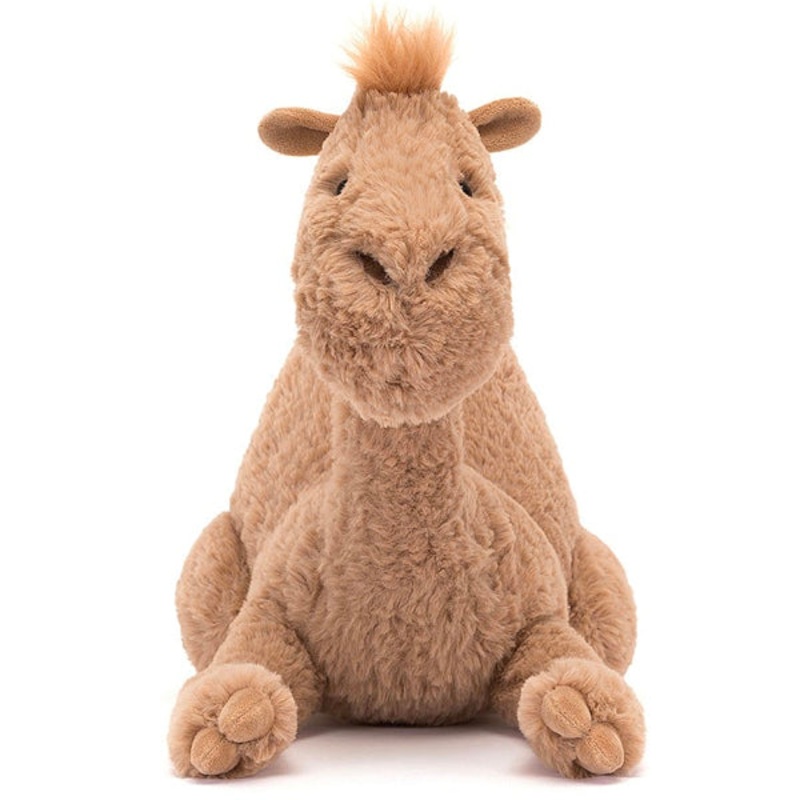 Richie Dromedary