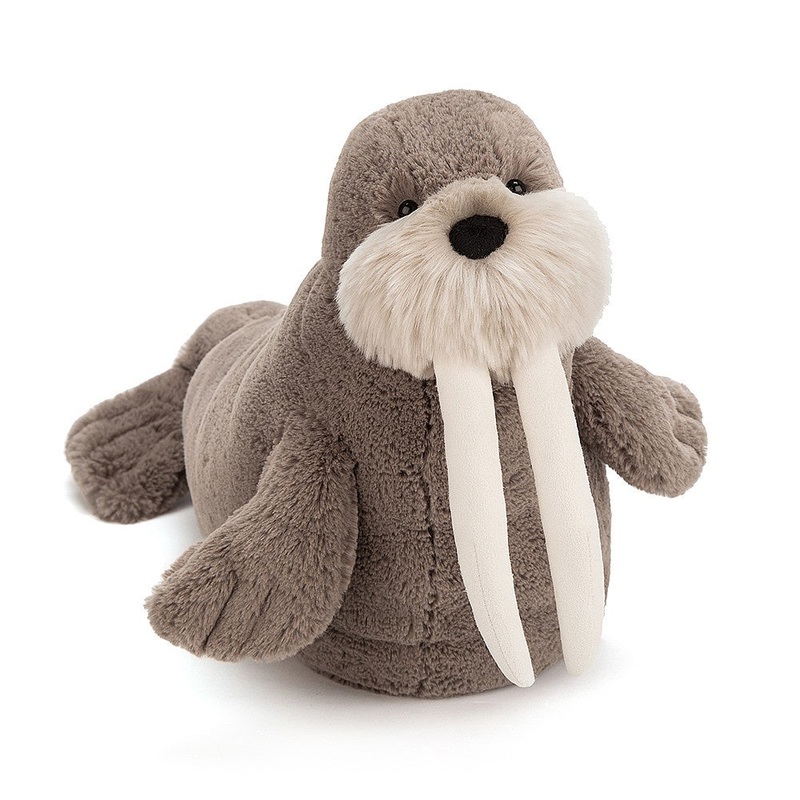 Willie Walrus