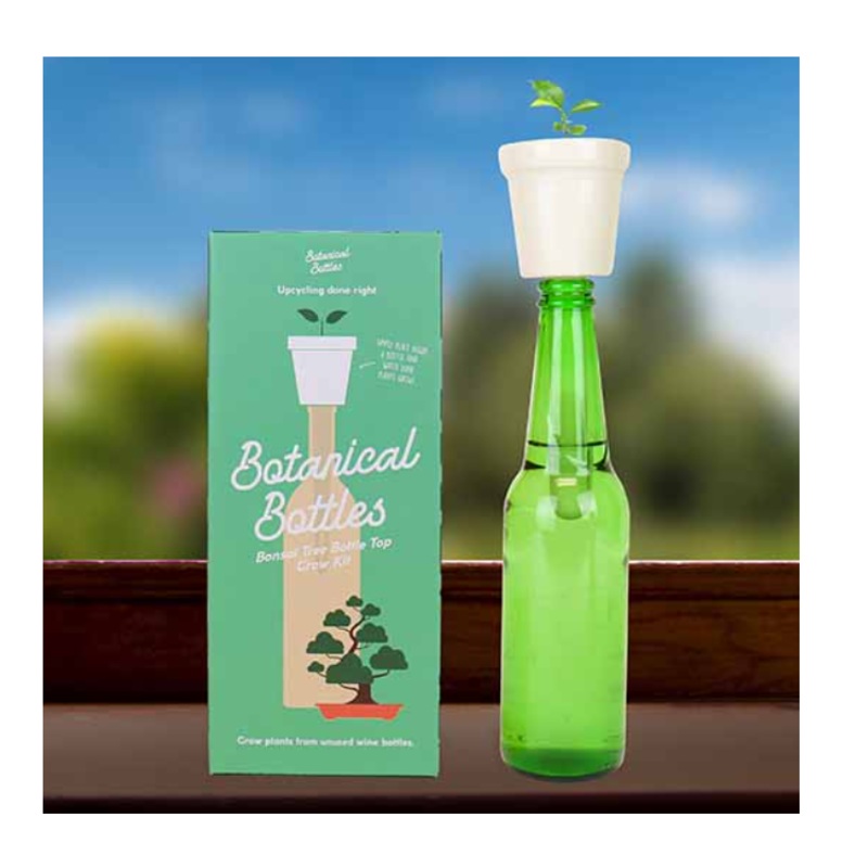 Botanical Bottles Bonsai Tree Bottle Top Grow Kit