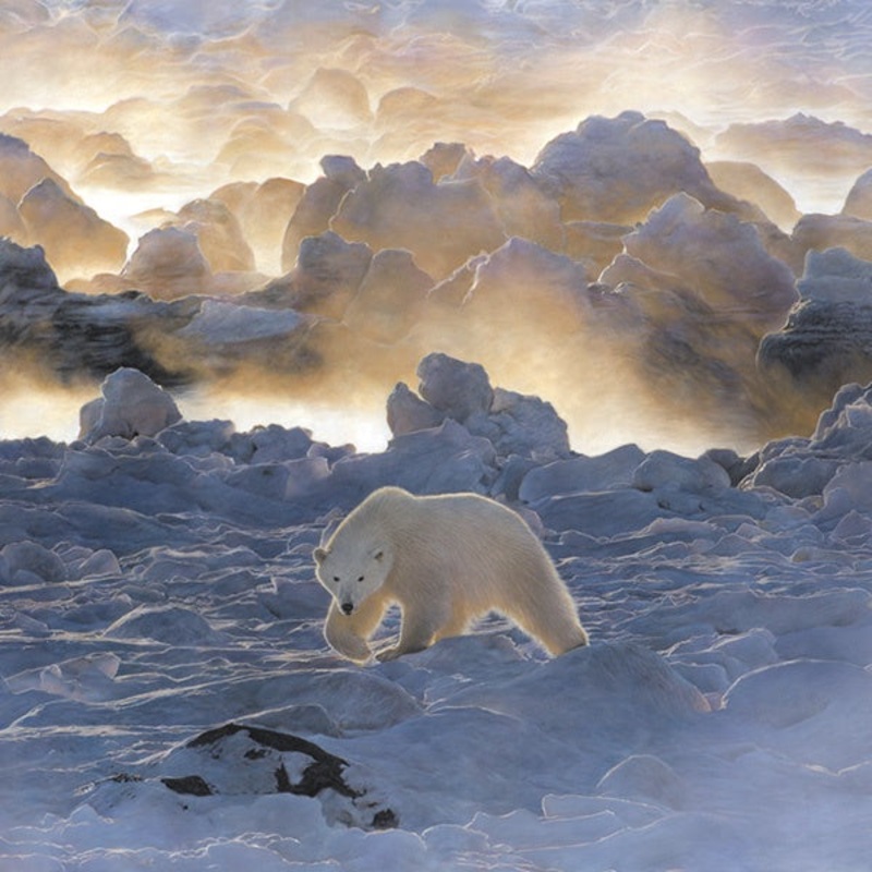 Save The Tiger Home Polar Bear  Christmas Card by Paper Tiger