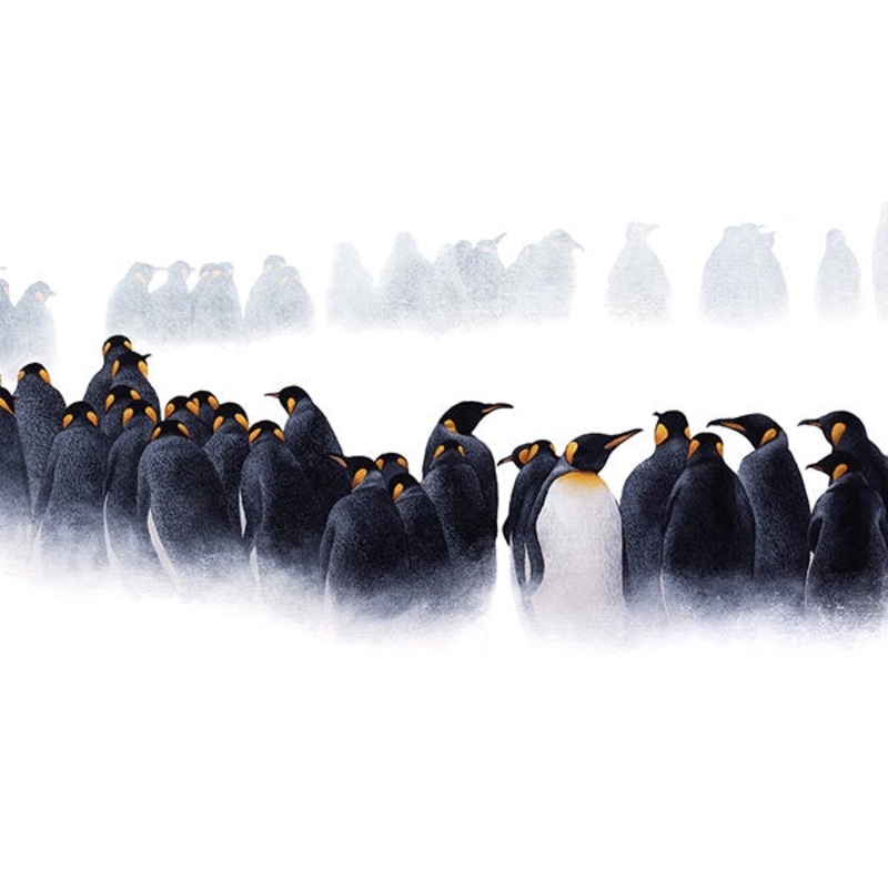 Save The Tiger The March Penguins  Christmas Card by Paper Tiger