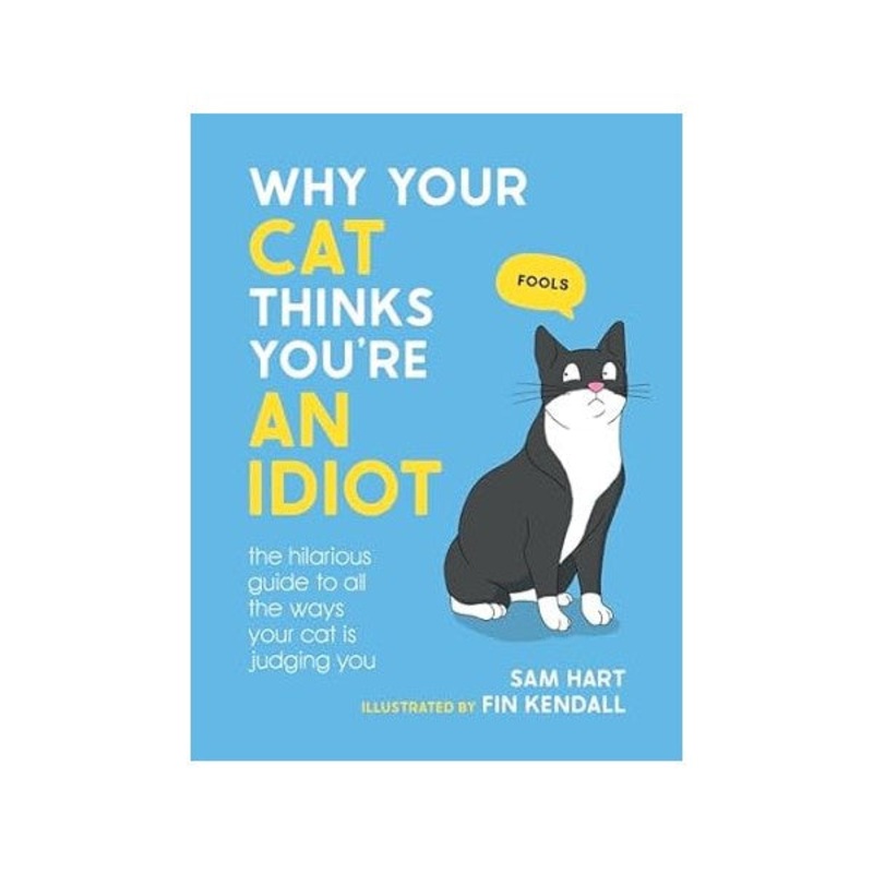 Why Your Cat Thinks You're An Idiot