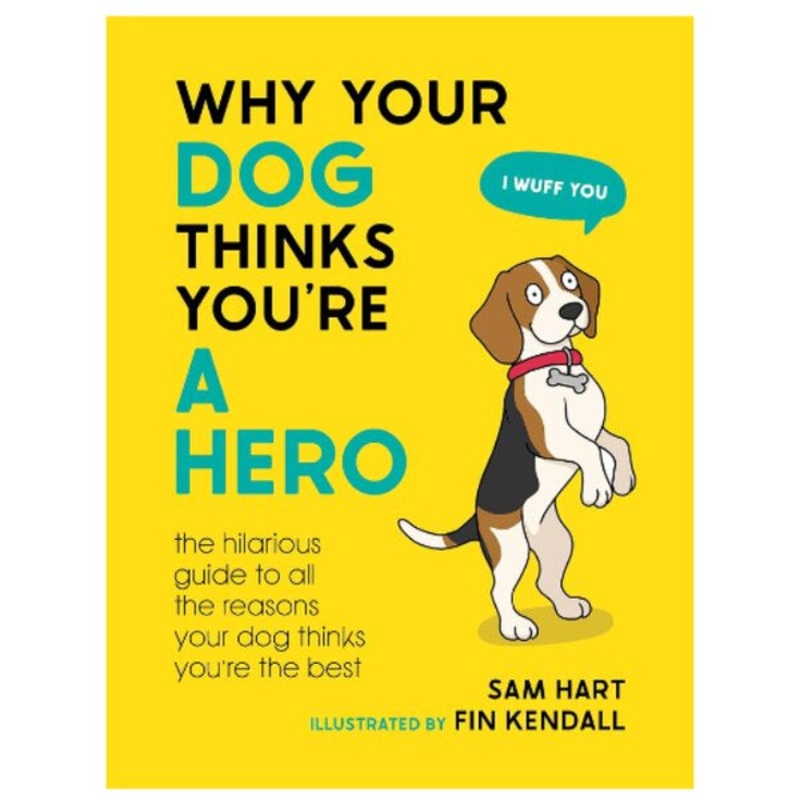 Why Your Dog Thinks You're A Hero