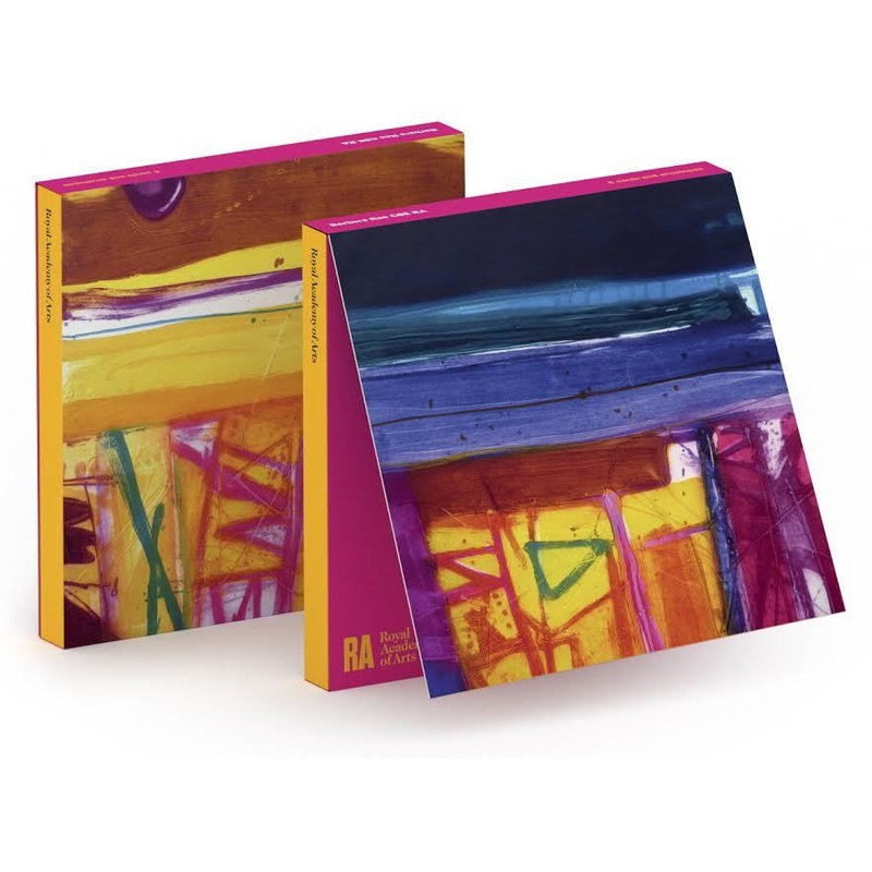 Barbara Rae Abstract Stripes Notecard Wallet