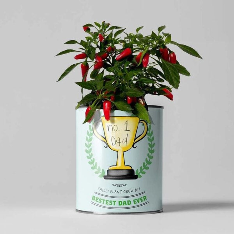 Bestest Dad Ever Grow Your Own Chillies Plant Kit