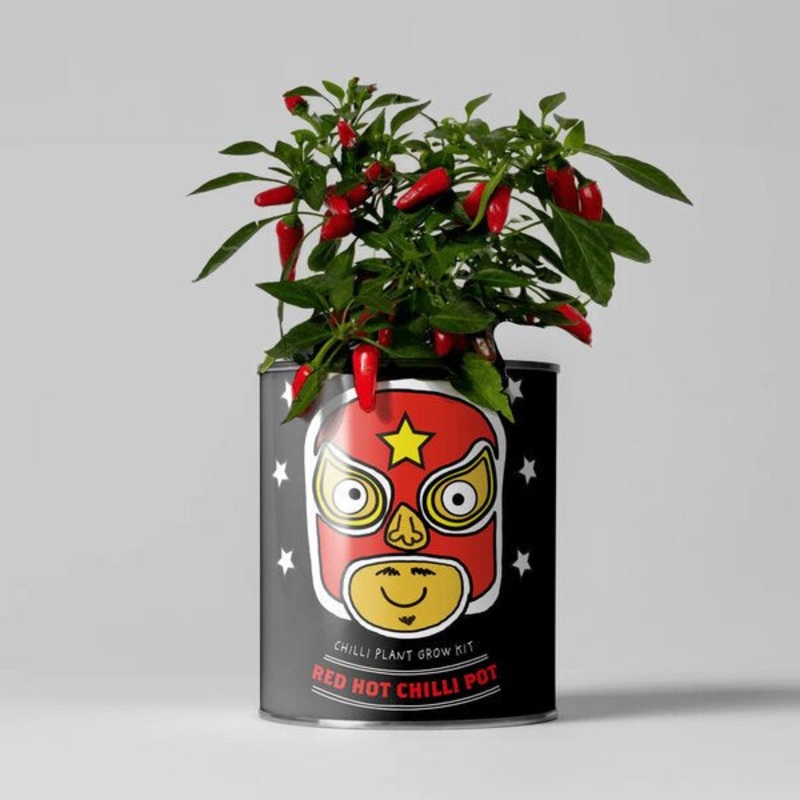 Red Hot Chilli Pot Grow Your Chilli Plant Kit