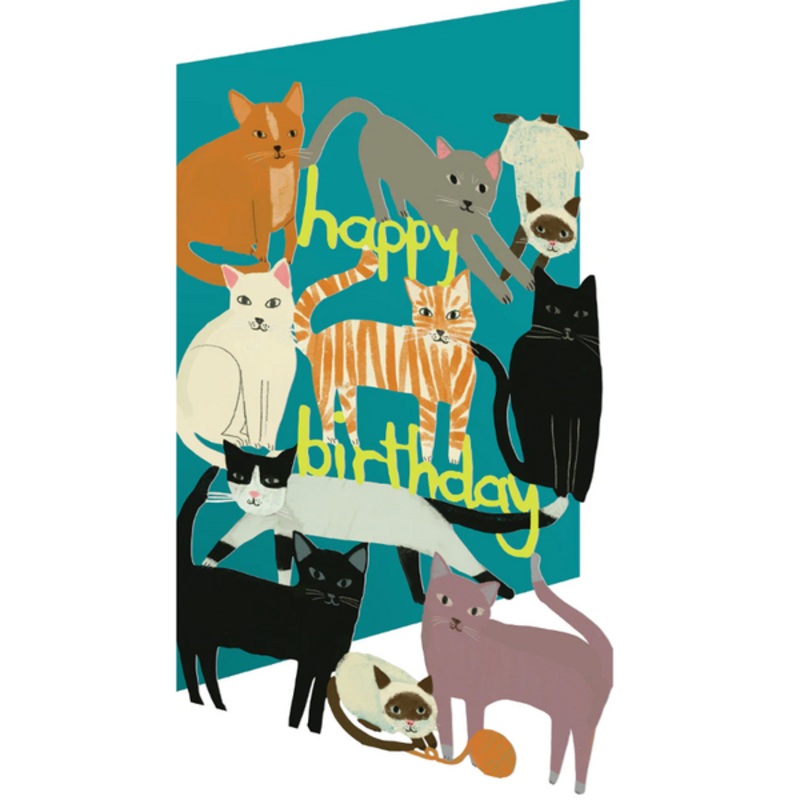 Playful Cats Card