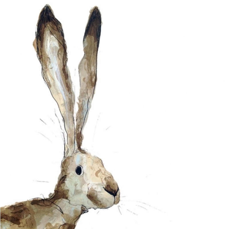 Alexander Card by Catherine Rayner