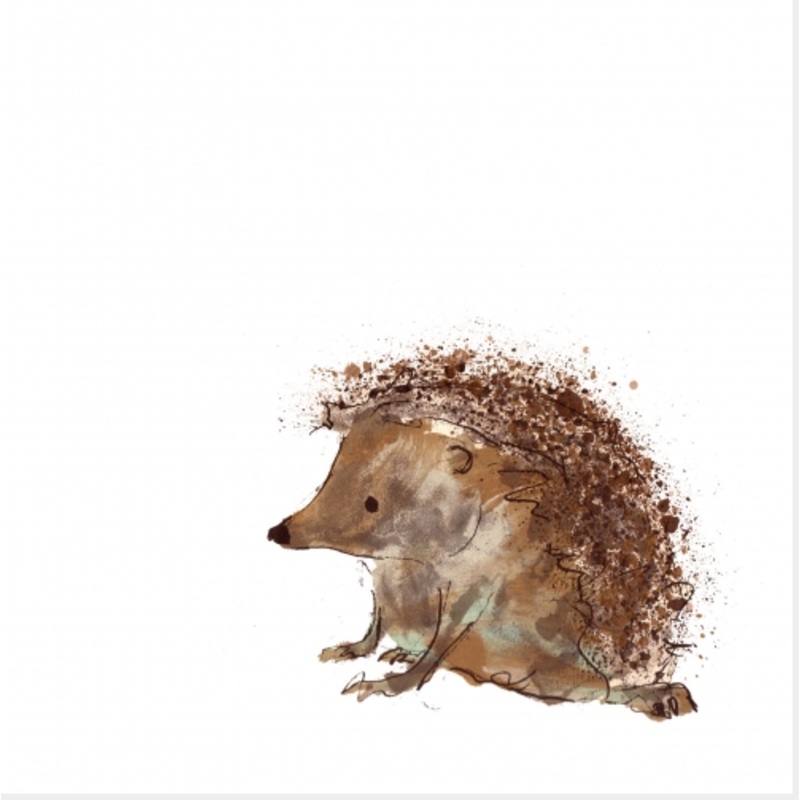 Evelyn Card by Catherine Rayner