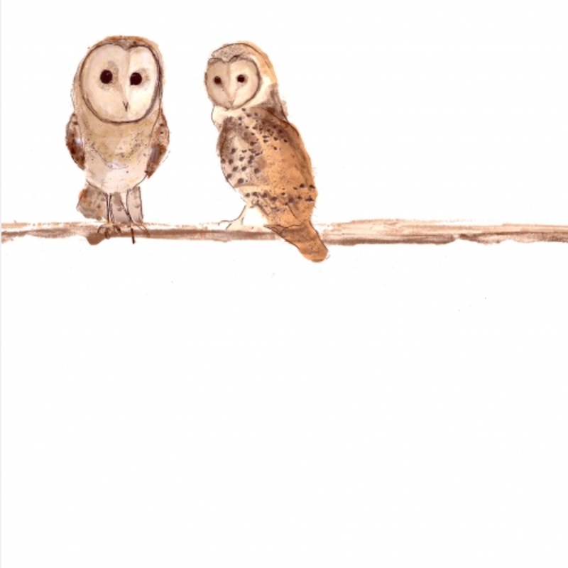 Gilbert and Josephine Card by Catherine Rayner