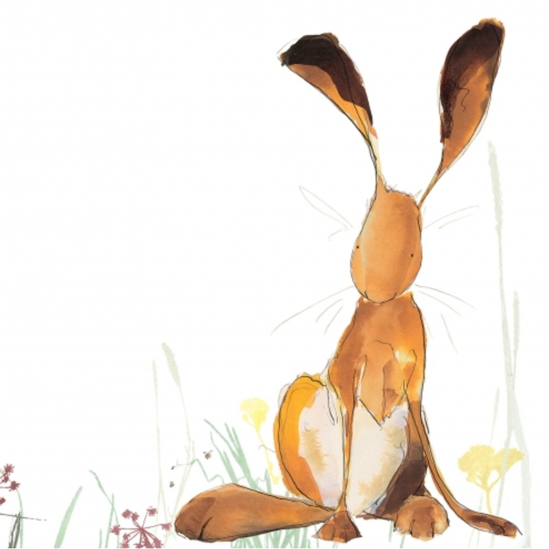 Harris Card by Catherine Rayner