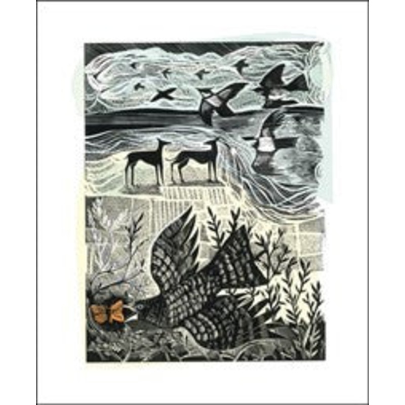 Nightjar and Sea Card by Angela Harding