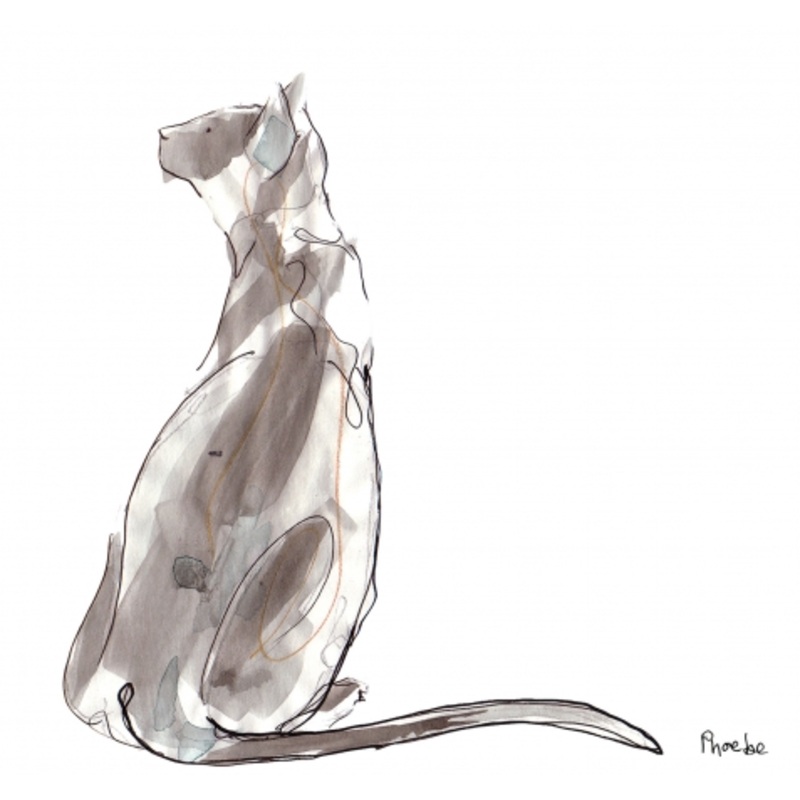 Phoebe Card by Catherine Rayner