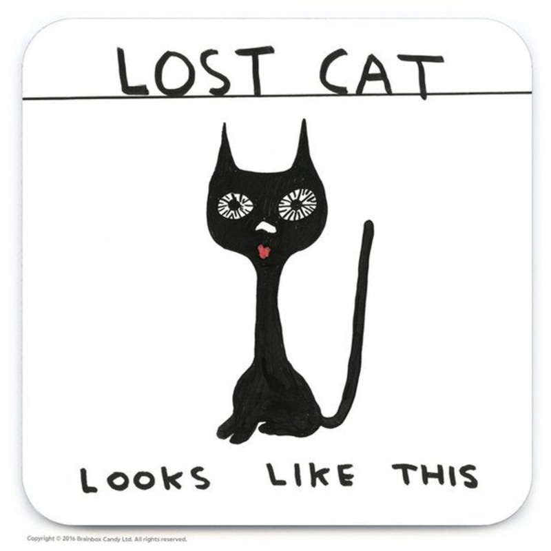 Lost Cat Coaster