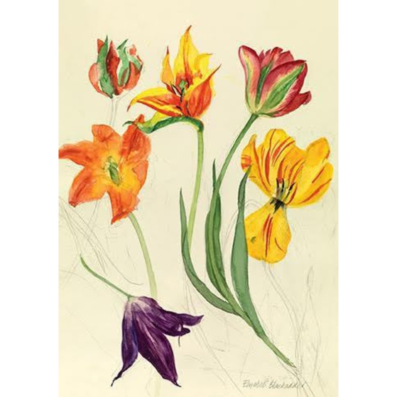 Watercolour Tulips Card