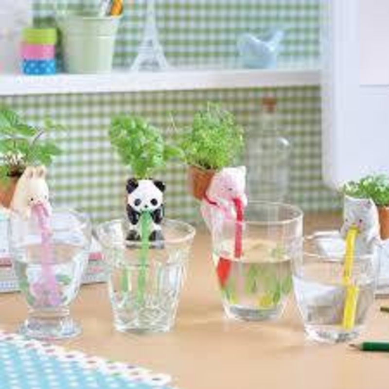 Chuppon Drinking Animal Planter 4 Designs